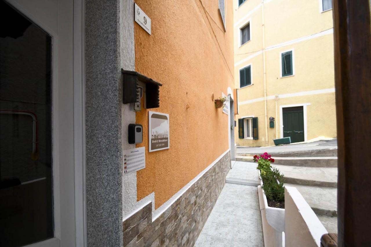 B&B La Pianedda Castelsardo Zewnętrze zdjęcie
