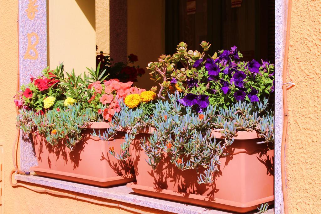 B&B La Pianedda Castelsardo Zewnętrze zdjęcie